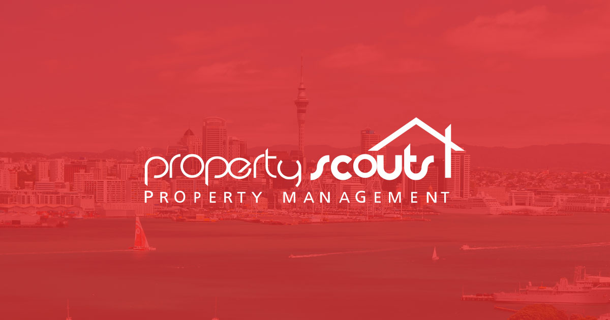 Meet Cara Your Property Management Expert in the Far North! Propertyscouts Property