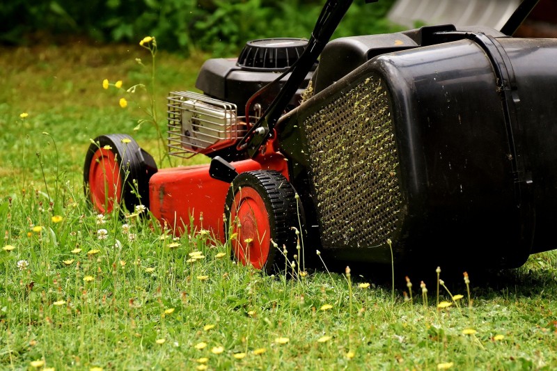 5 Reasons to Consider Including Grounds Maintenance in Your Tenancy Agreement