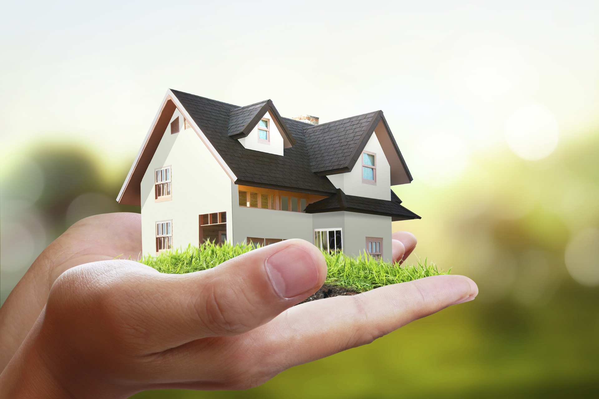 Owner Case Studies