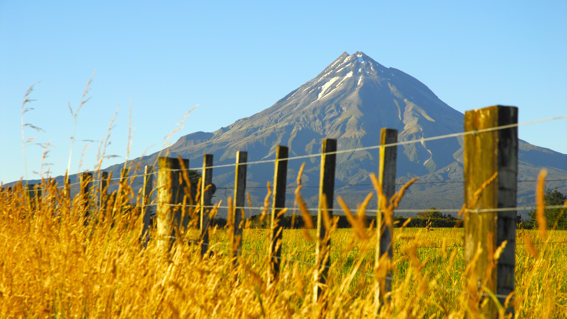 New Plymouth Property Management