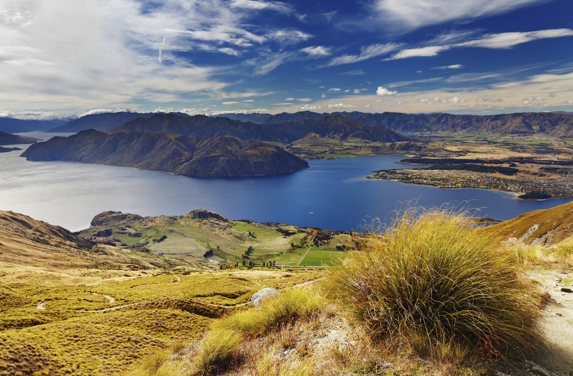 Central Otago Team