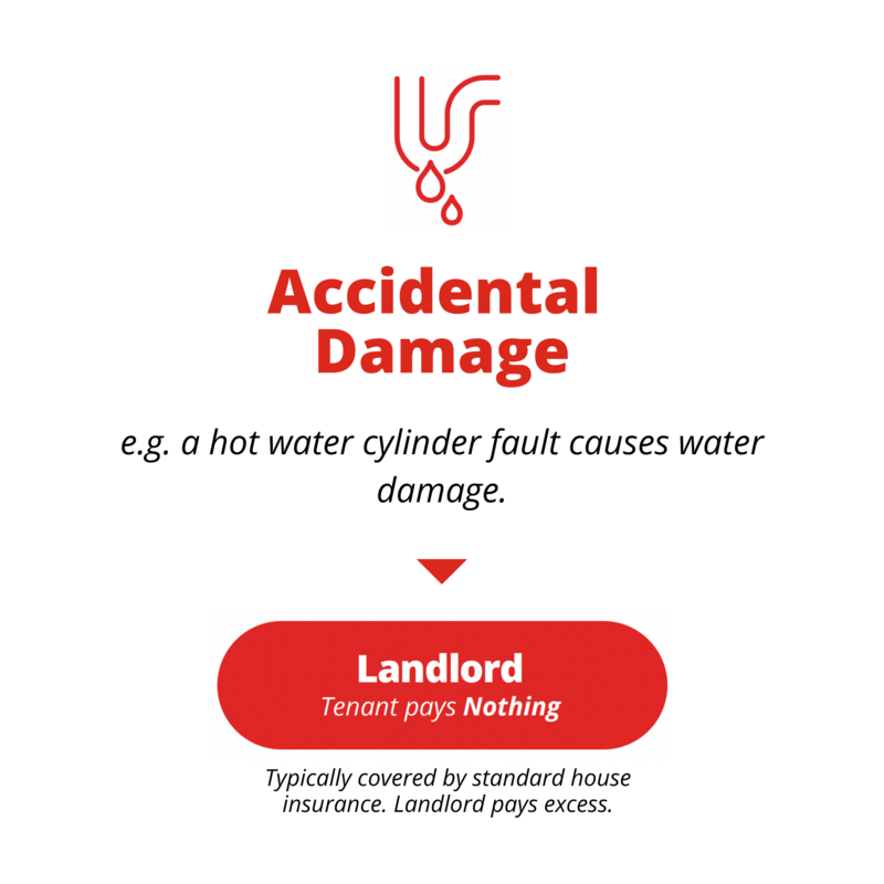 Rental Property Damage - Propertyscouts - Property Management Experts