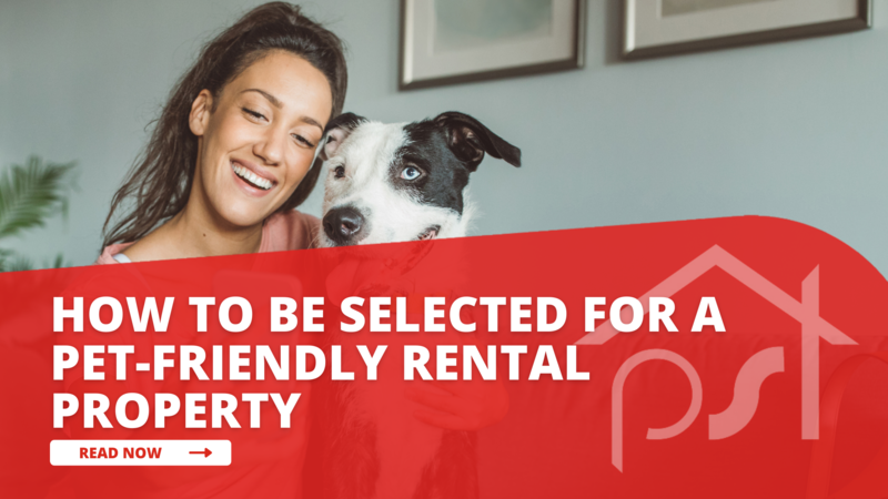 How-To Be Selected for a Pet Friendly Rental Property