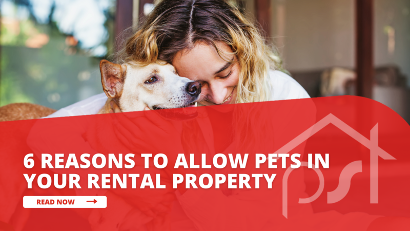 6 Reasons to Allow Pets in Your Rental Property