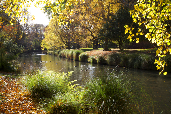 Christchurch Garden City