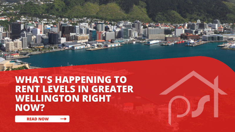 Rents Drop in Greater Wellington: What’s Behind the Shift?