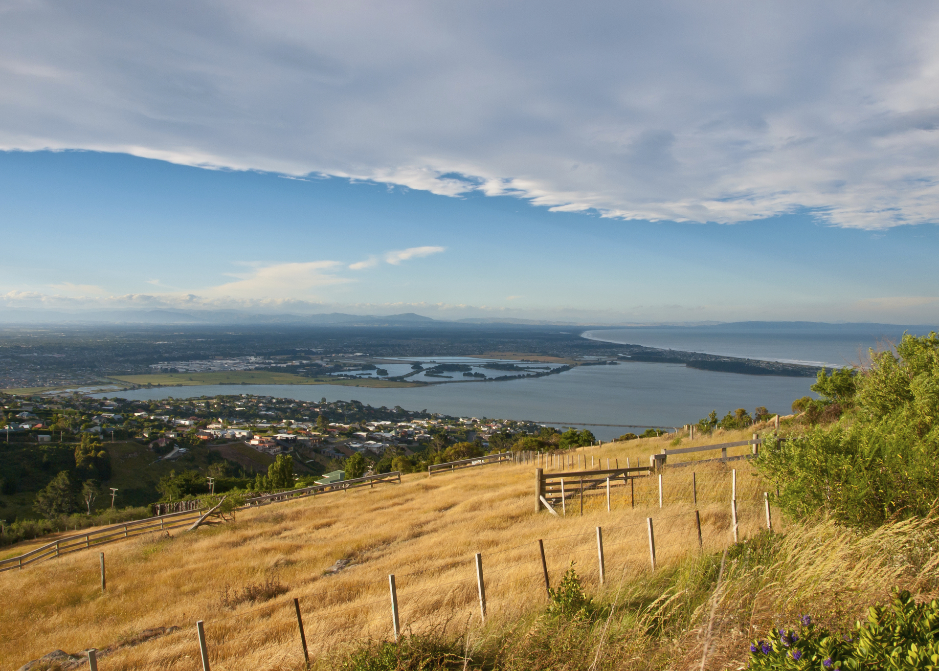 Propertyscouts Greater Christchurch