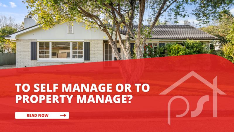 Self manage your rental property or use a professional property manager?