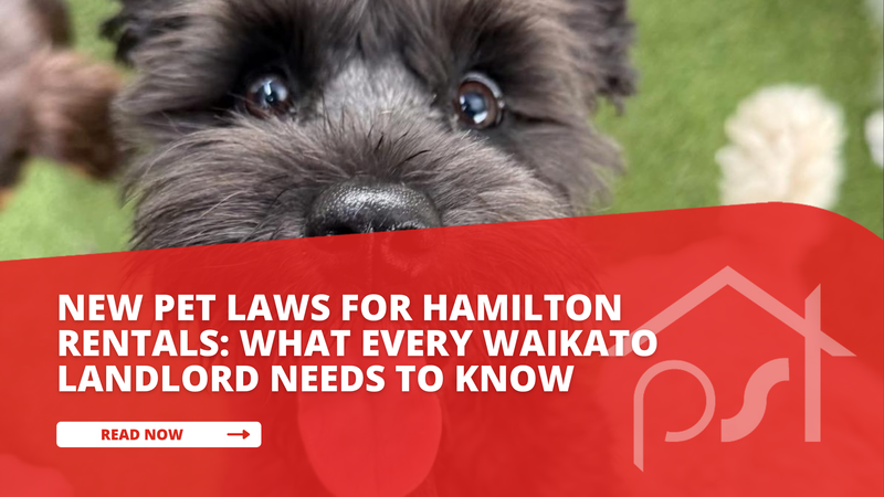 What are the new pet laws for Hamilton rentals?