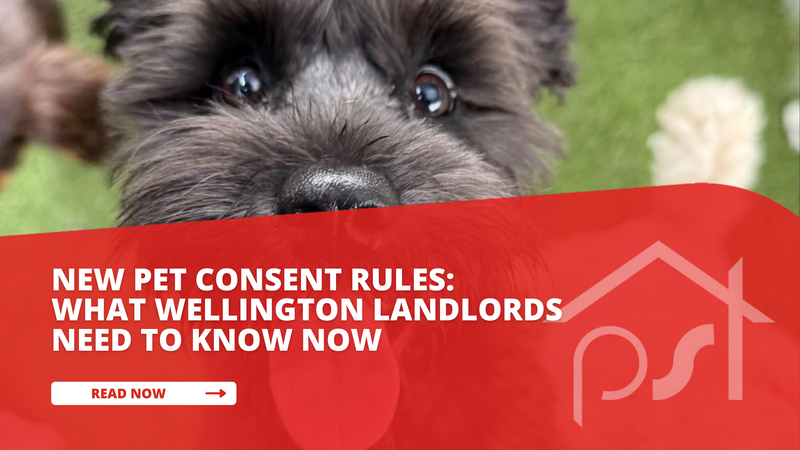 What do Wellington landlords have to do when a tenant asks for a pet?
