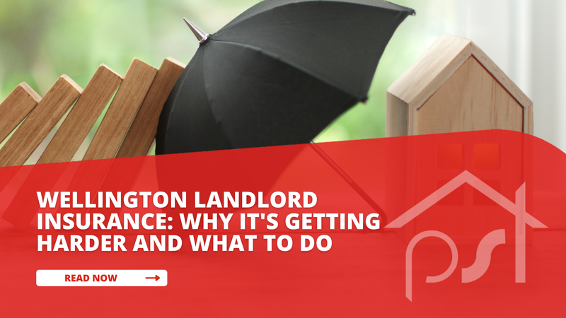 What Wellington landlords need to know about getting landlord insurance in 2026