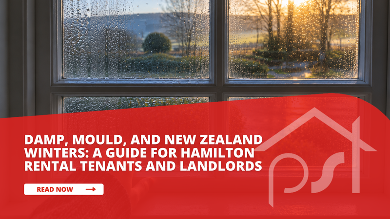 Damp, Mould, and New Zealand Winters