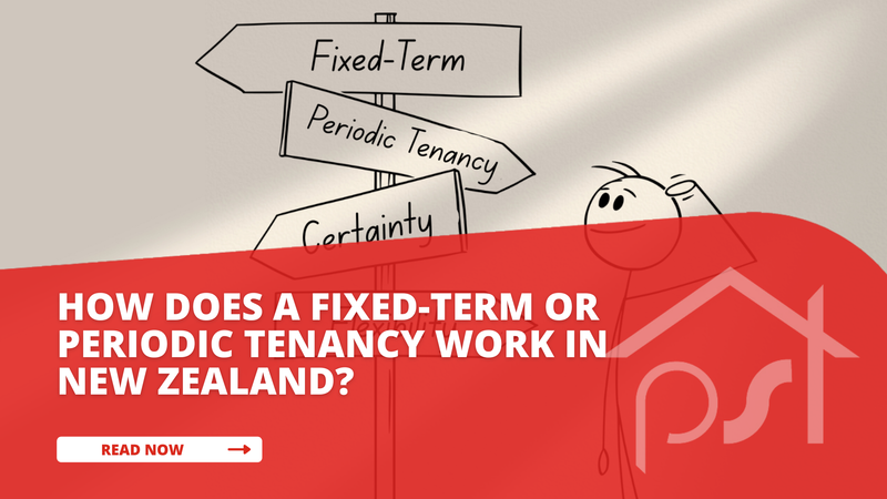 How does a fixed-term or periodic tenancy work in New Zealand?